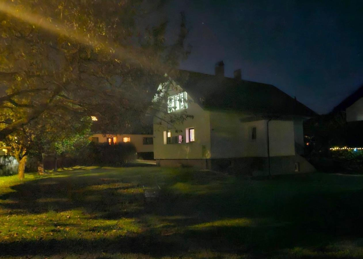 Aparthouse Jana Breg Zirovnica 外观 照片